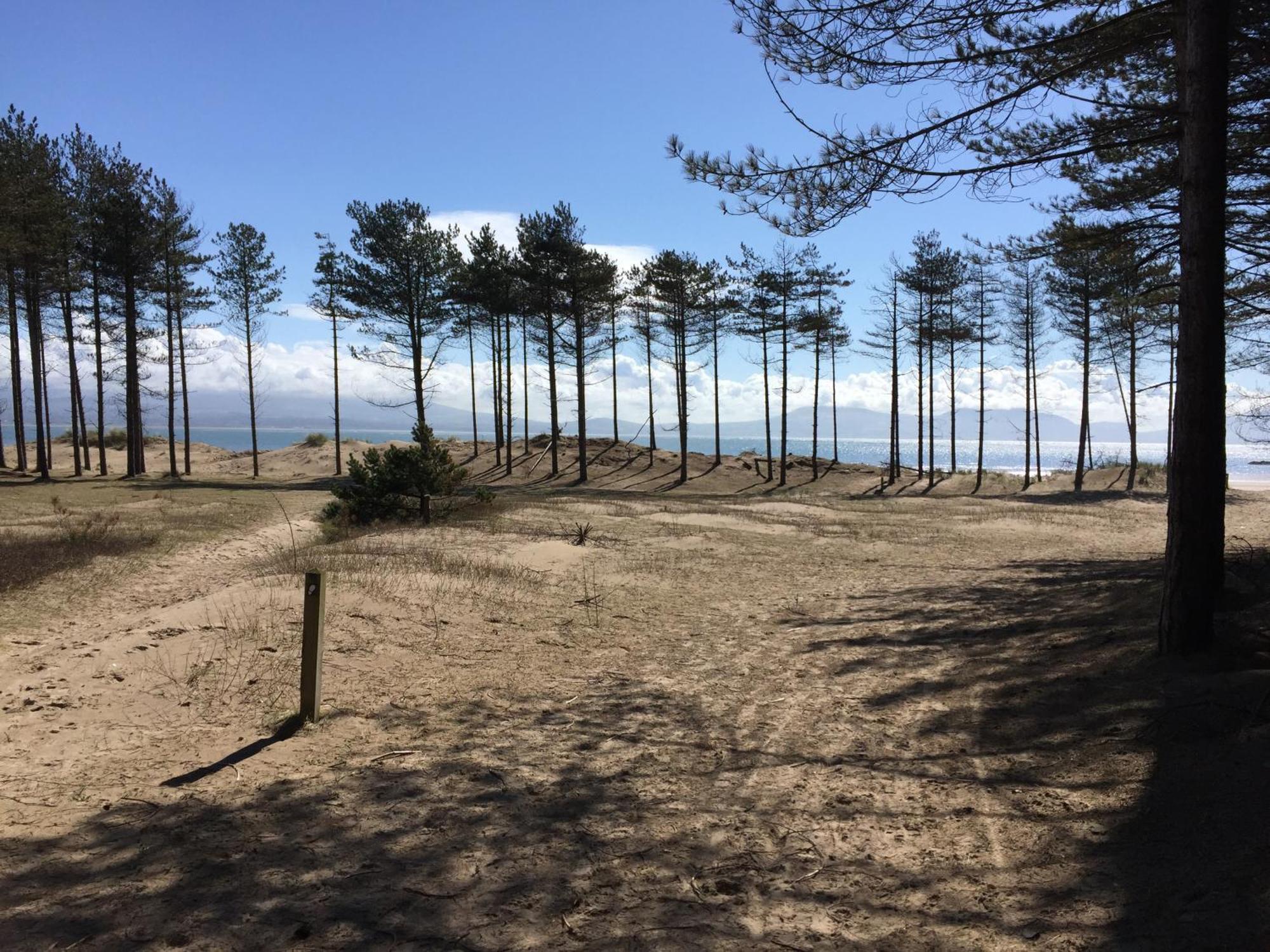 Llanw Malltraeth - Malltraeth Tides Llangadwaladr  Bagian luar foto